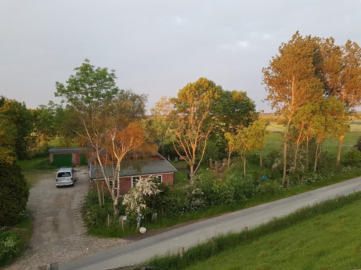 Ferienwohnung Diekblick - Kleiner Deichhof Hattstedtermarsch Экстерьер фото